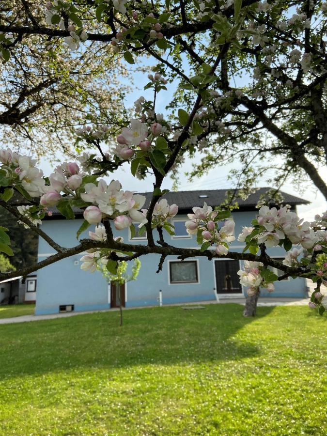 Feldkirchen in KärntenNikolaierhausアパートメント エクステリア 写真