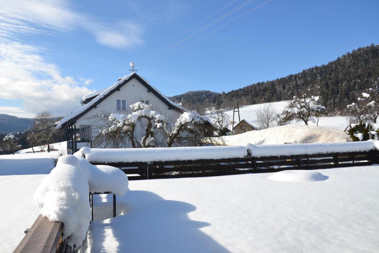 Feldkirchen in KärntenNikolaierhausアパートメント エクステリア 写真