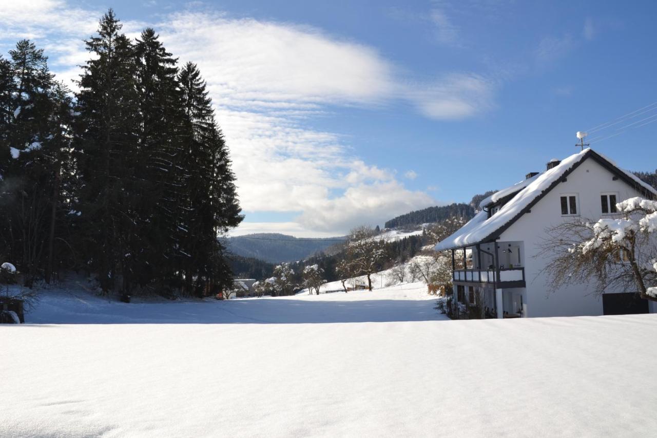 Feldkirchen in KärntenNikolaierhausアパートメント エクステリア 写真